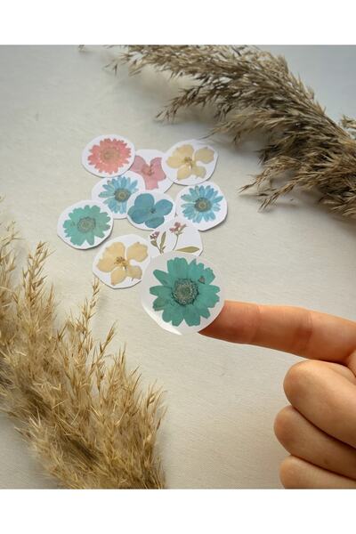 Atölye Merdiven Set de autocolante vintage cu tematică papaya cu flori uscate...