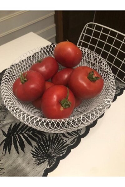 ZEYDADA سلة فواكه سلكية باللون الأبيض