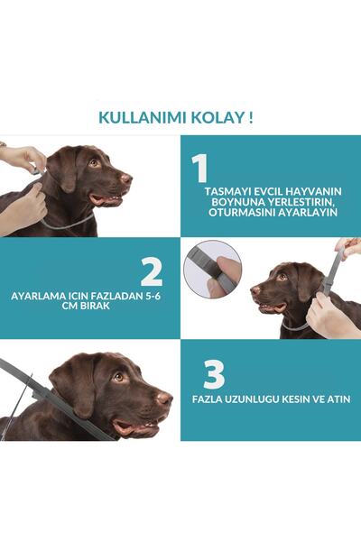 Genel Markalar Köpekler için Pire Tasması 7 Aya Kadar Koruma Bitkisel %100 Doğal Parazit Önleyici