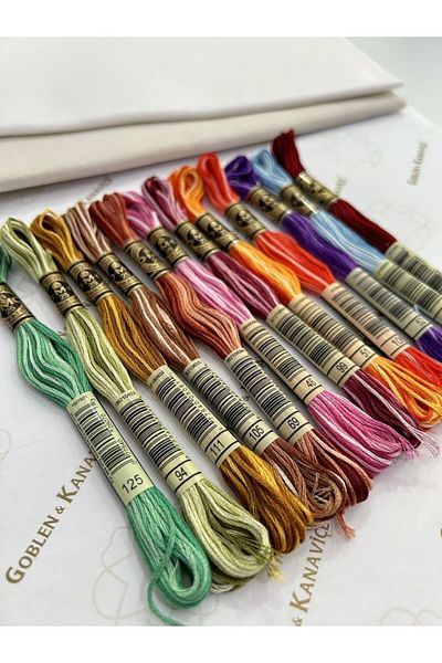 Dmc Muline Thread Set Marbled Colors 12 Pieces
