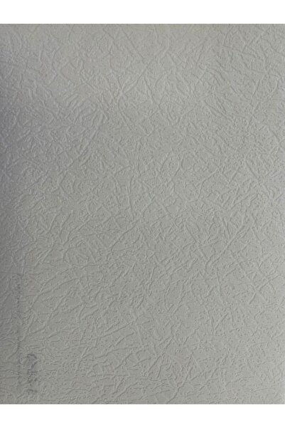 Seela Boyanabilir Duvar Ve Tavan Kağıdı 6550 ( 26,50 M2 Rulo )