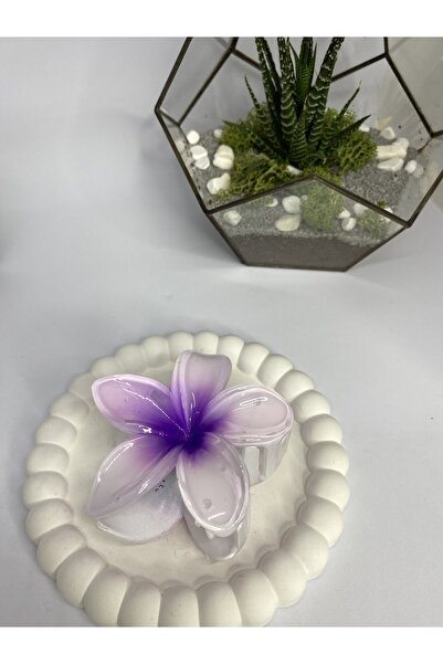 Mor Çiçekli Lotus Pinterest Mandal Toka