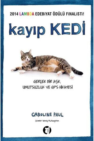 Aylak Kitap Kayıp Kedi