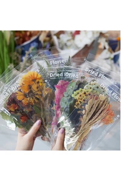 SF SCRAPBOOK KIRTASİYE Vintage Dried 6 Pieces Flower Pet Sticker/decal/label/journal/scrapbook