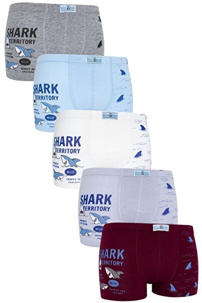 biyokids Boy's Boxer 5 Pack Μικτό Χρώμα εμπριμέ Boxer 2503