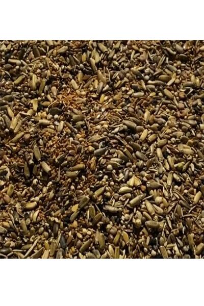 ÇIRPAN KUŞ DÜNYASI Muhabbet Kuşu Özel Kondisyon Tohum Karışımı (250 gr ) (ÖZE...