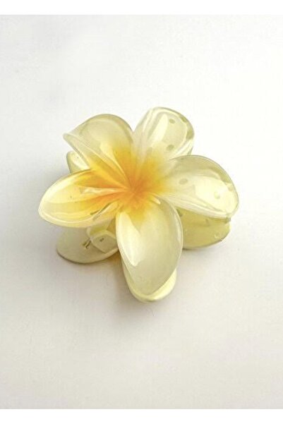 defneaccesories lotus buckle/clatch buckle/aloha buckle/hair clips