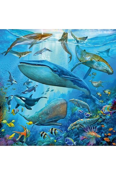 RAVENSBURGER 51496 3X49P - Multicolor Puz Animals