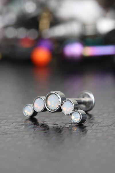 depozoom Yeni Sezon 316L Cerrahi Çelik Kıkırdak Tragus Helix Zirkon Taş Labre...