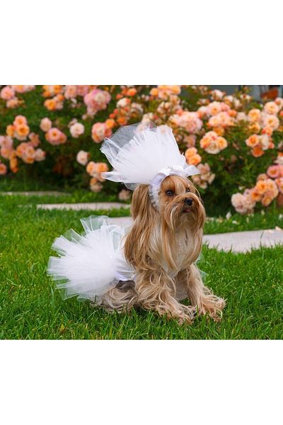 MAXSTYLESPET Pet Wedding Dress And Veil For Dog And Cat Wedding Wedding Engagement Marriage Outfit Dress