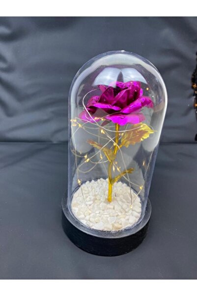 HKM Hobim خاص لعيد الحب وعيد الأم، وردة أبدية مزخرفة لا تبهت، وردة في جرة جرس...