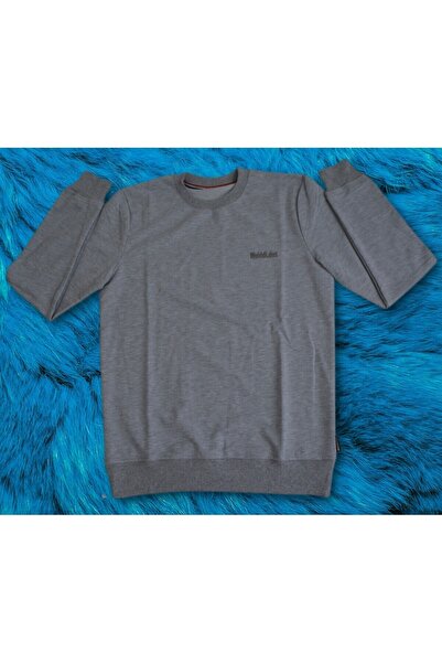 Wolddi.Das erkek açık gri sweatshirt