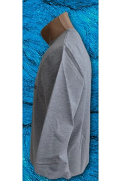 Wolddi.Das erkek açık gri sweatshirt