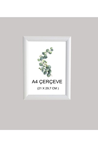 Ekoll Pvc A4 White Frame Document Photo Holder Unbreakable Pvc Frame