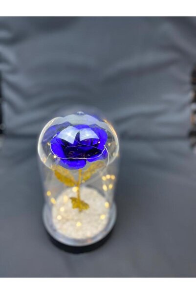 HKM Hobim خاص لعيد الحب وعيد الأم، وردة أبدية مزخرفة لا تبهت، وردة في جرة جرس...