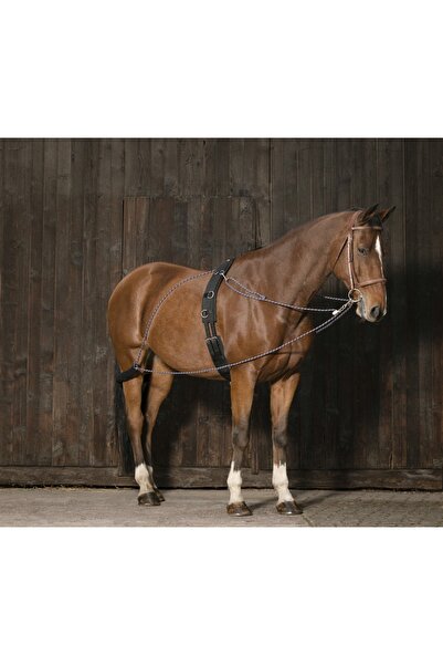 Asi At Pessoa Eğitim Seti