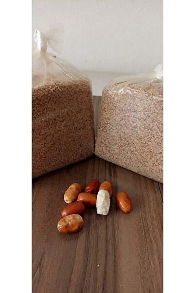 Bsr Çekirdekli İğde Tozu ( 500gr)