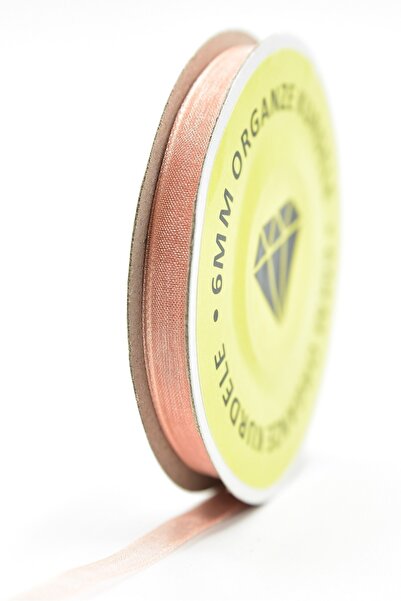 E Elmas شريط أورجانزا السلمون (6 مم - 20 م)