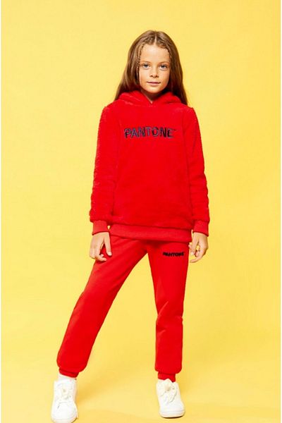 Pantone Hooded Embroidered Long Sleeve Unisex Kids Sweatshirt