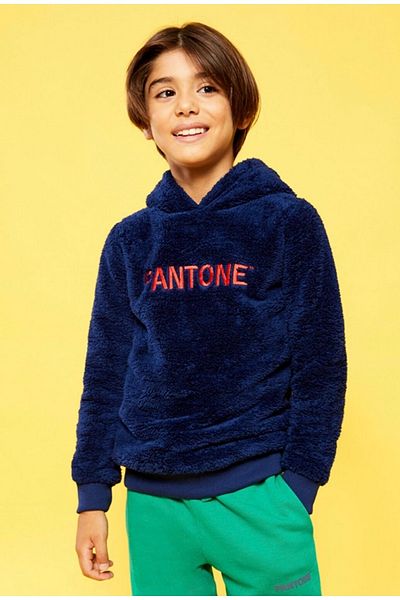 Pantone Hooded Embroidered Long Sleeve Unisex Kids Sweatshirt