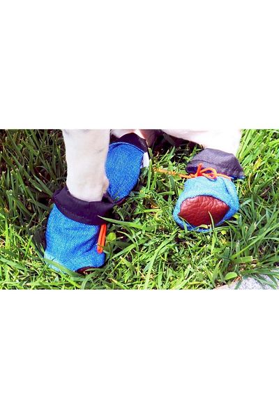 MAXSTYLESPET Pet Shoes Blue - Waterproof Walking Shoes For Cat Dog