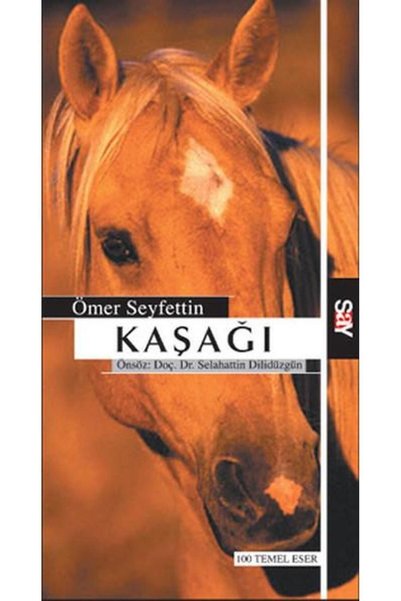 Say Yayınları كاشاجي
