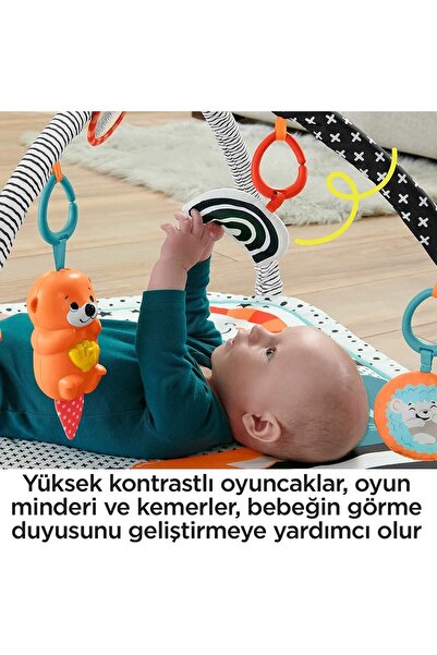 FISHER PRICE Neşeli Hayvanlar 3'ü 1 Arada Jimnastik Merkezi Oyun Halısı