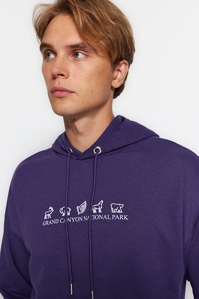Trendyol Collection Μωβ φούτερ με κουκούλα με κουκούλα με φαρδιά κοπή TMNAW23SW00114