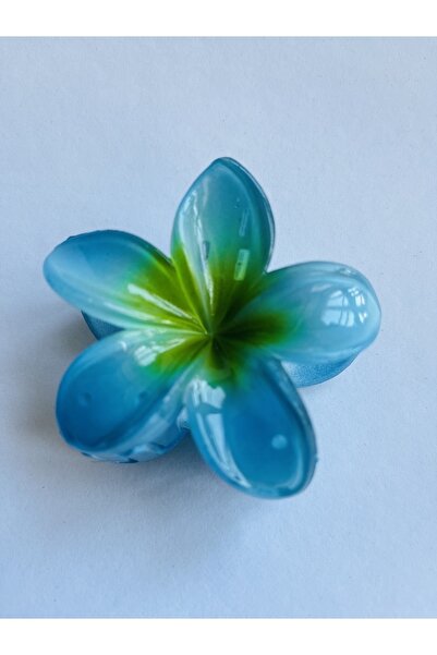 büzey accessory Hawaii hibiscus çiçek mandal toka