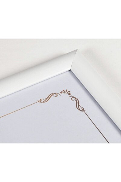 Ekoll Pvc A4 White Frame Document Photo Holder Unbreakable Pvc Frame