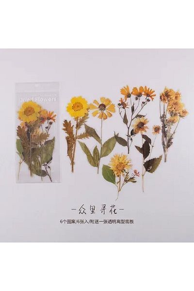 SF SCRAPBOOK KIRTASİYE Vintage Dried 6 Pieces Flower Pet Sticker/decal/label/journal/scrapbook