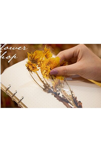 SF SCRAPBOOK KIRTASİYE Vintage Dried 6 Pieces Flower Pet Sticker/decal/label/journal/scrapbook