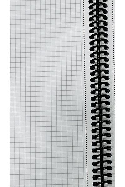 karinabest Gıpta Platinum Fine Quality Metallic Colors School Notebook Set A4 100 Sheets Checkered PP Cover With Spiral