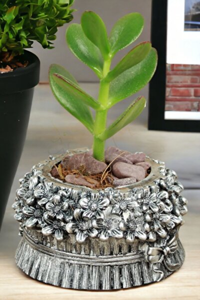 Kaktüs Saksı Dünyası El Yapımı Saksı Gümüş Eskitme Dekoratif Saksı Küçük Boy ...