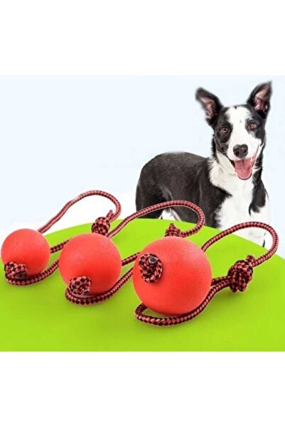 TİSERT İpli Kauçuk Sert Top Köpek Oyuncağı 5,5x40 cm SMALL