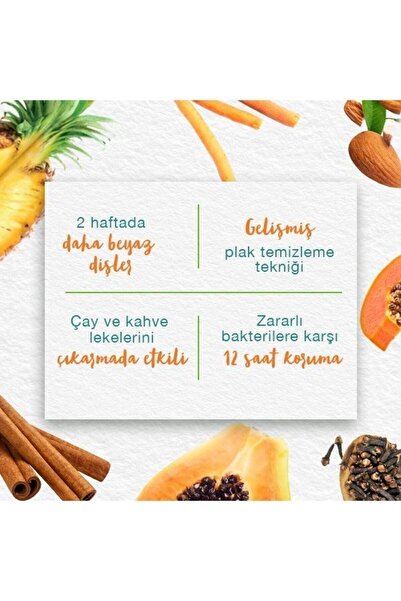 Himalaya Since 1930 Total Care Bitkisel Diş Macunu, Florürlü, Parabensiz, Bitkisel Enzim, 100 ml 125 gr