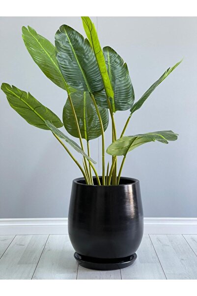 odka Armut Model Saksı H: 32cmx26cm Tabaklı Siyah Renk