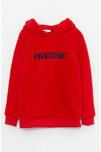 Pantone Hooded Embroidered Long Sleeve Unisex Kids Sweatshirt