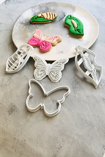 CESTOPİENO Life Cycle of the Butterfly Set of 4 Dough Shaper / Cookie / Ceram...