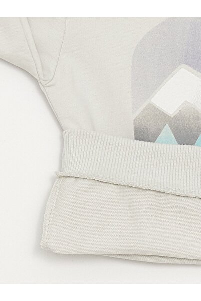 LC Waikiki Baby Boy - Crew Neck nyomott pulóver