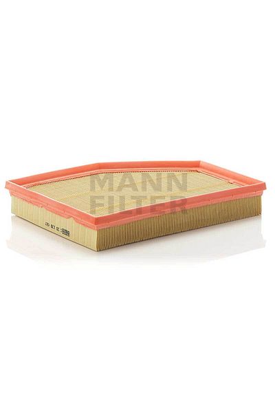 Mann Fılter Mann Filter C30139 Air Filter13717521033 -13717521038