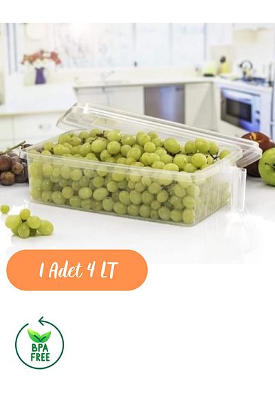 Carpekitchen 4 Liter Capacity Refrigerator Organizer Set with Handle - Food Container Storage Container