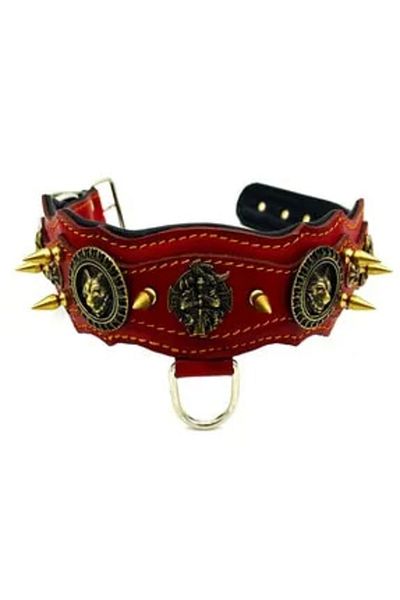 Tasma Market Red Special Design Leather Dog Collar