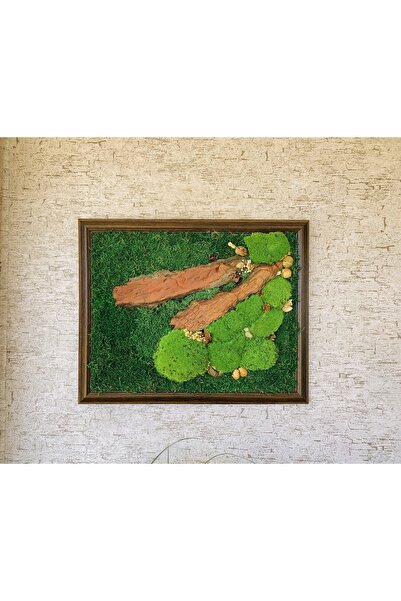 New Life Dekorasyon Canlı Yosun Tasarım El Emeği Tablo Kara Yosunu Top Yosun Ağaç Kabukları Ev Dekorasyon Handmade Tablo