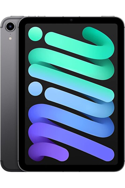 Apple Ipad Mını Wıfı Cell Mk8f3tu/a 256gb Space Gray