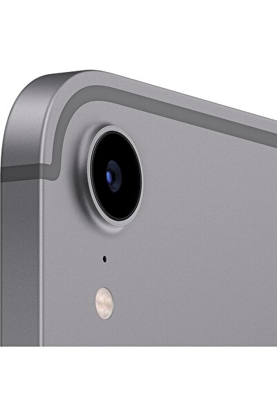 Apple Ipad Mını Wıfı Cell Mk8f3tu/a 256gb Space Gray