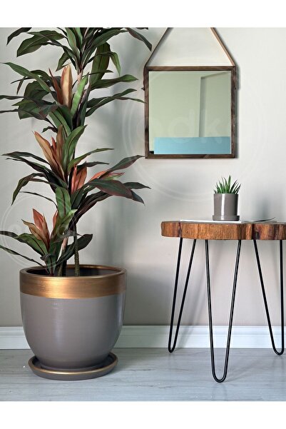 odka 20litre Klasik Saksı Tabaklı 30cmx30cm Vizon Gold