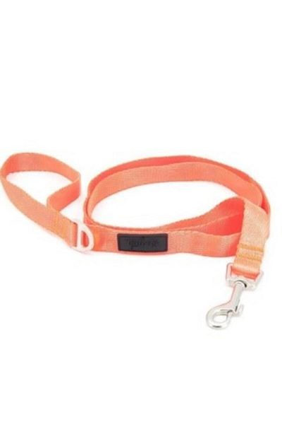Tailpetz تصميم NEO ORANGE MATCH LEASH