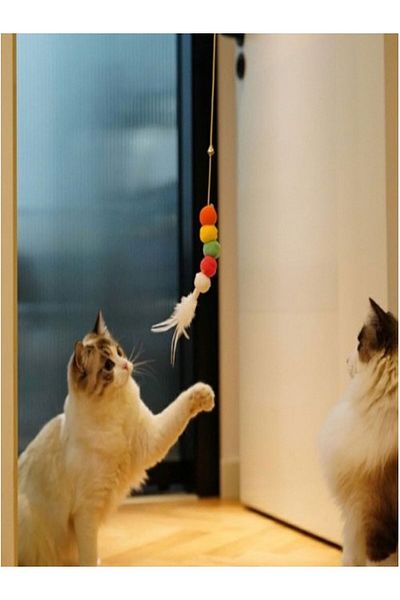 Fashion Base Elastic Cat Play Rod - Adhesive