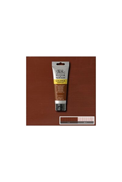 Winsor Newton Galeria Akrilik Boya 120 ml. 077 Burnt Sienna Opaque